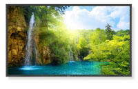 Nec P521 Nec P521